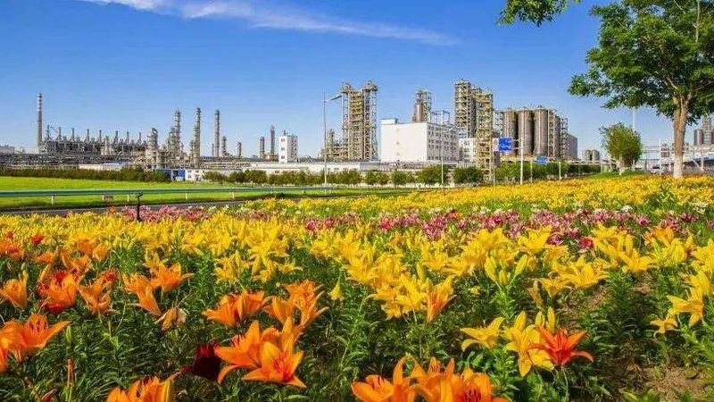 表面活性剂十二烷基苯磺酸钠：揭秘其价格背后的因素**